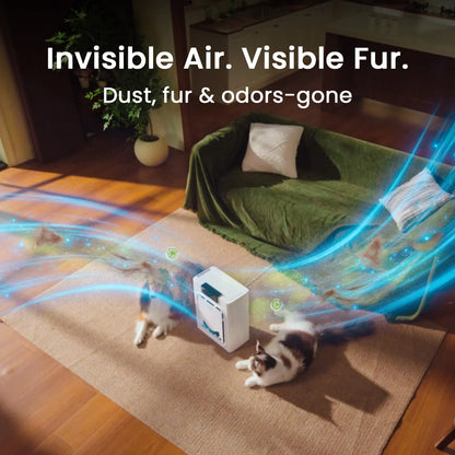 PawPure Air Purifier