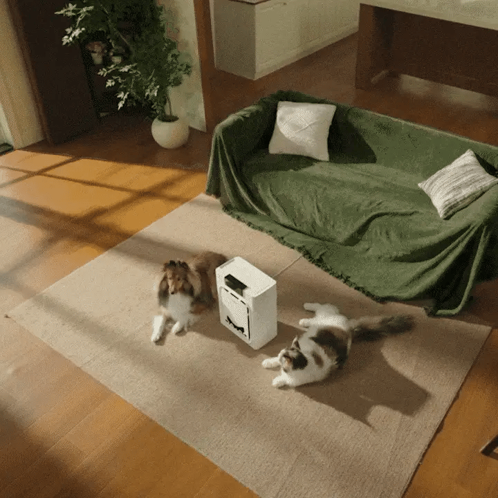 PawPure Air Purifier