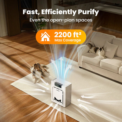 PawPure Air Purifier